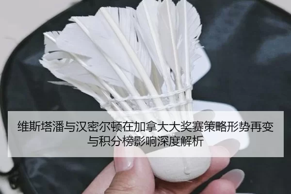 维斯塔潘与汉密尔顿在加拿大大奖赛策略形势再变与积分榜影响深度解析